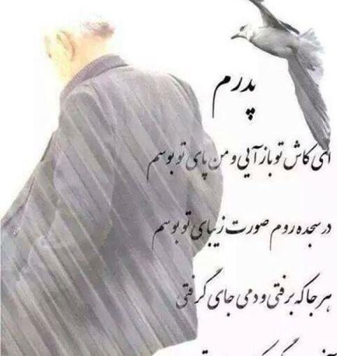 عکس نوشته پدر مگر تو چند نفر بودی