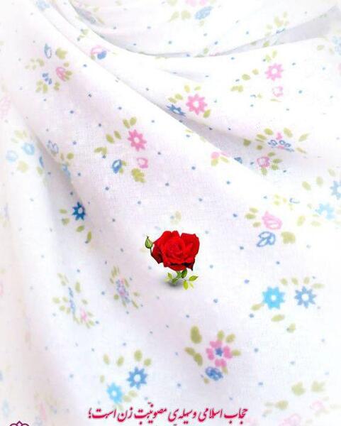عکس نوشته حجاب