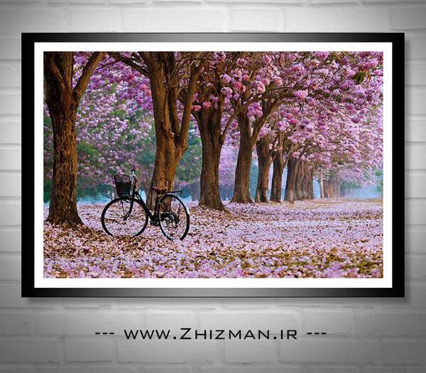 عکس از طبیعت شکوفه