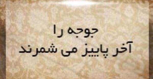 عکس ضرب المثل جوجه رو آخر پاییز میشمارن