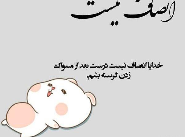 عکس طنز دایی