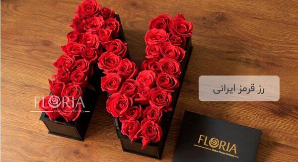 عکس گل رز با حروف n
