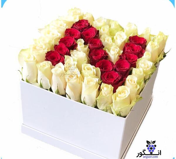 عکس گل رز با حروف n