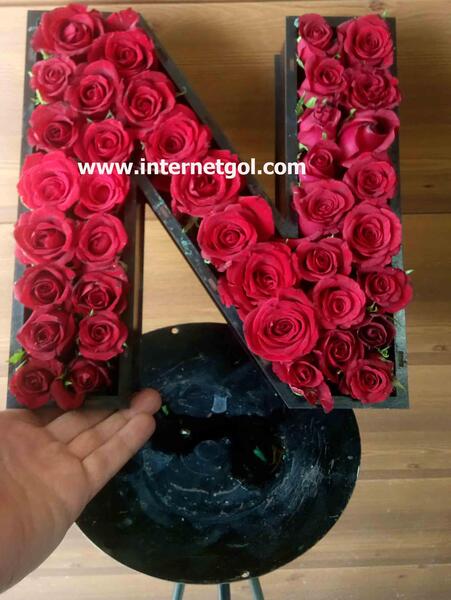 عکس گل رز با حروف n