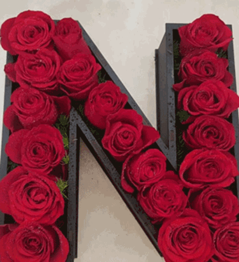 عکس گل رز با حروف n