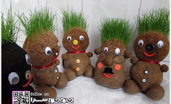 عکس سبزه عید عروسکی