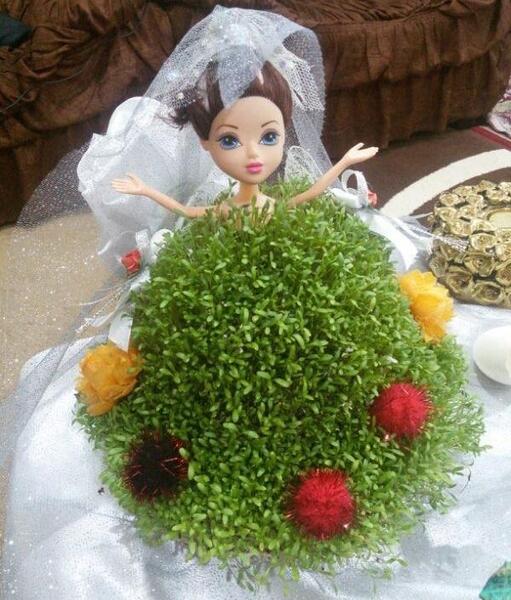 عکس سبزه عید عروسکی