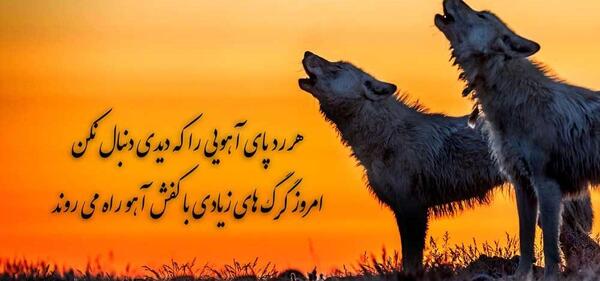 عکس گرگ آهو