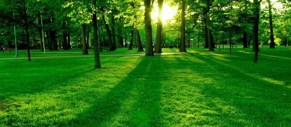 دانلود ۵۰ عکس زیبای طبیعت برای صفحه دسکتاپ