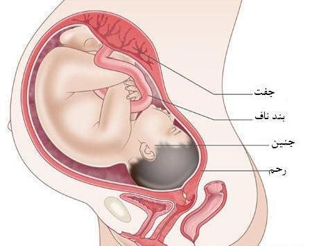 عکس ماه آخر بارداری