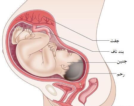 عکس ماه آخر بارداری