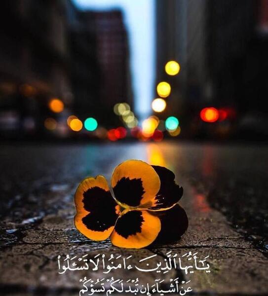 عکس برای پروفایل قران
