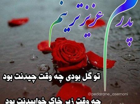عکس نوشته گلی بودی نه وقت چیدنت بود