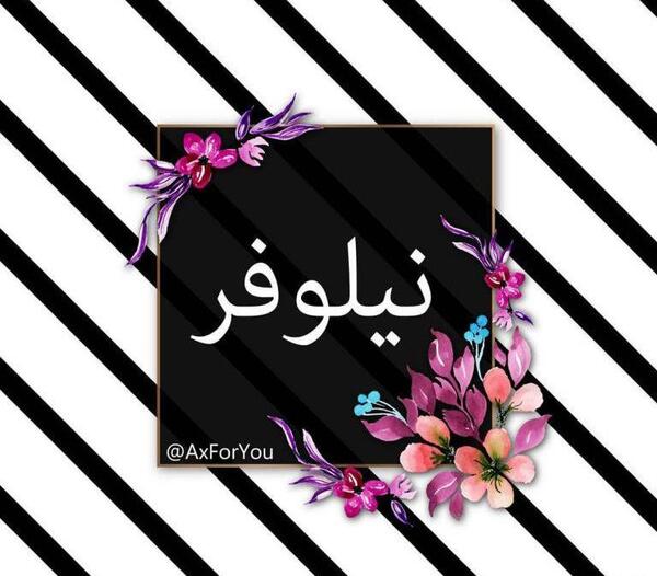 عکس نوشته ی نیلوفر جان تولدت مبارک