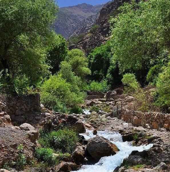 عکس تصاویر زیبای طبیعت خوزستان