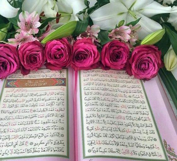 عکس وضعیت قران