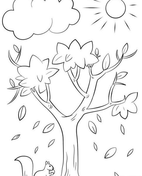 عکس طبیعت ساده برای نقاشی
