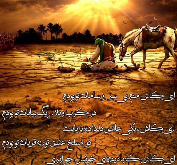 عکس حرم امام حسین همراه با شعر