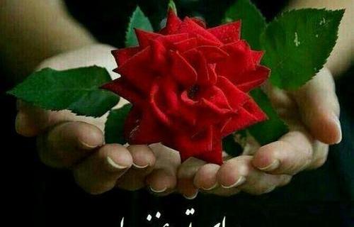 عکس دسته گل تقدیم به شما