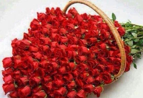 عکس دسته گل تقدیم به شما