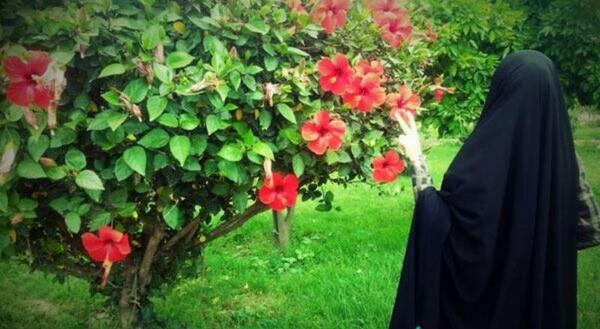 عکس زیبا برای پروفایل چادری
