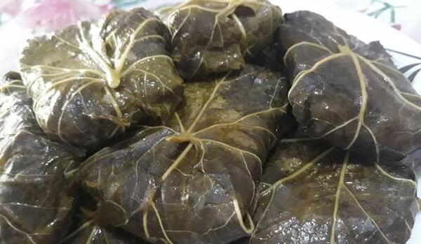 عکس غذا برگ