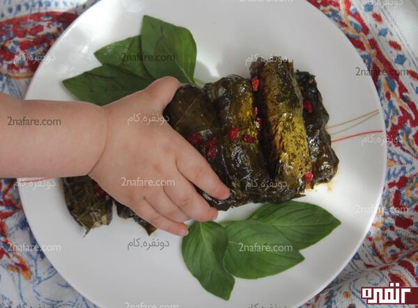 عکس غذا برگ