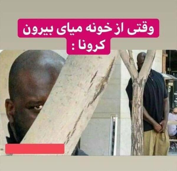 عکس های خنده دار برای استوری