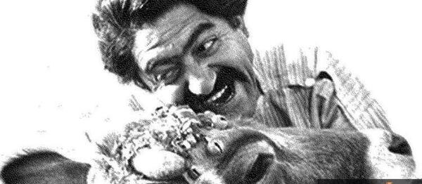 عکس حسن گاوی