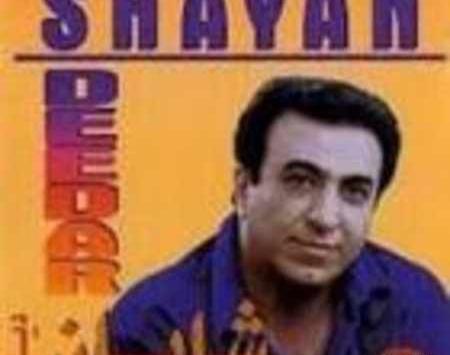 عکس شایان خواننده