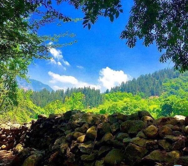 عکس زیبای طبیعت چین
