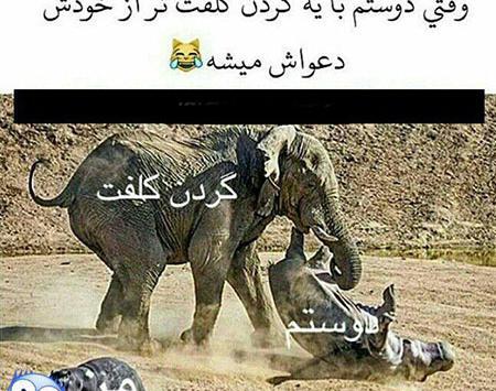 عکس های خنده دار زیرنویس