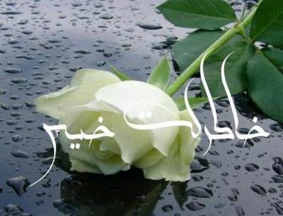 عکس نوشته خاطرات خیس