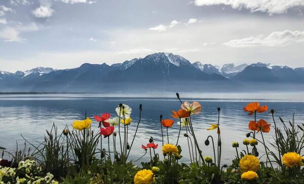 عکس طبیعت زیبای سوئیس