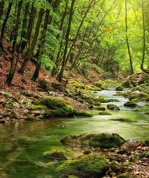 عکسهای زیبای طبیعت تابستان