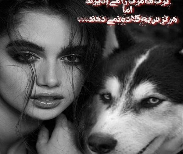 عکس گرگ با دختر