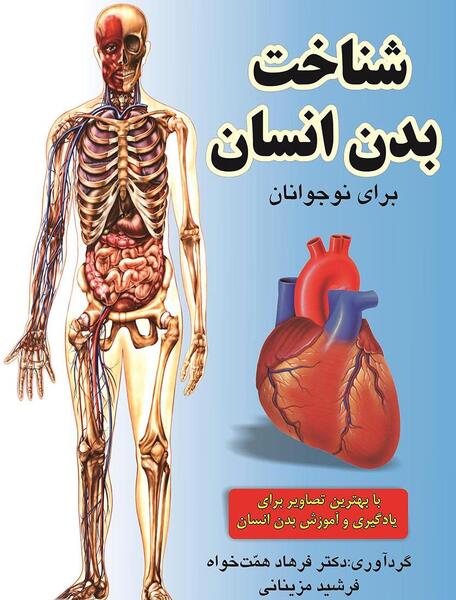 عکس قلب در بدن انسان