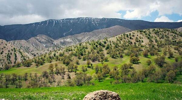 عکس پروفایل طبیعت ایلام
