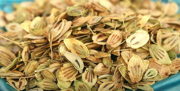 عکس چای گلپر