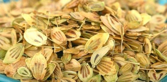 عکس چای گلپر