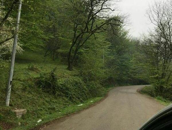 عکس طبیعت شمال برای پروفایل
