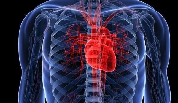 عکس قلب طبیعی