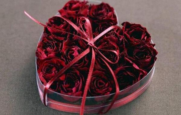 عکس قلب طبیعی