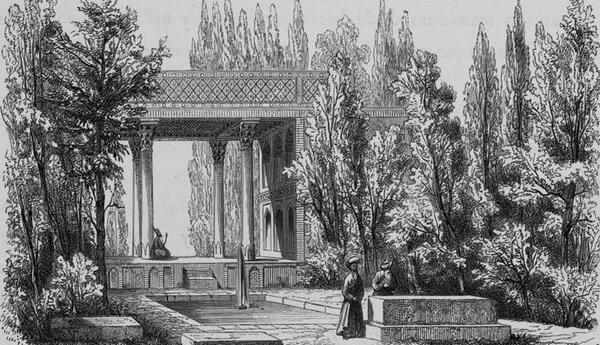 عکس حافظ برای طراحی
