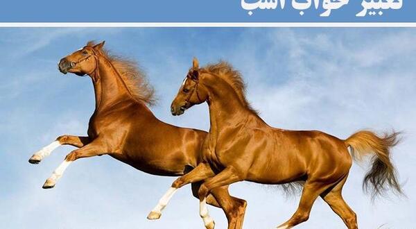 عکس اسب قهوه ای سوخته