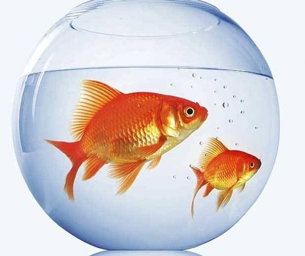 عکس ماه قرمز