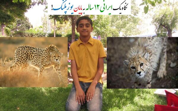 عکس زیباترین یوز پلنگ