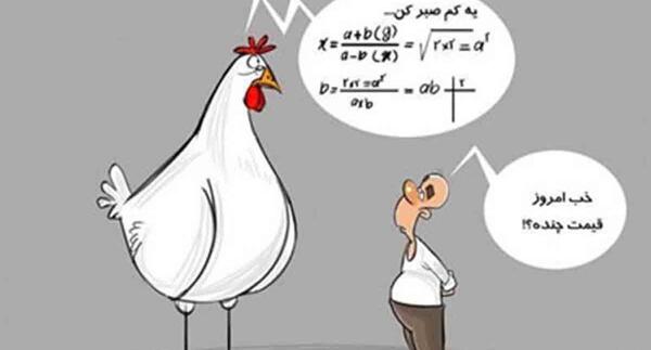 عکس طنز مرغ