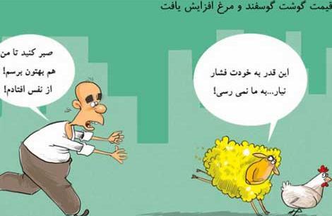 عکس طنز مرغ