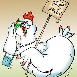 عکس طنز مرغ